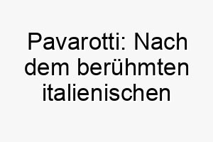 pavarotti nach dem beruehmten italienischen tenor luciano pavarotti ein grosser name fuer einen hund der gerne bellt oder singt 25030