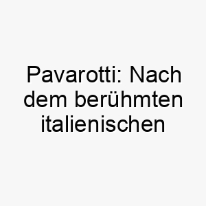 pavarotti nach dem beruehmten italienischen tenor luciano pavarotti ein grosser name fuer einen hund der gerne bellt oder singt 25030