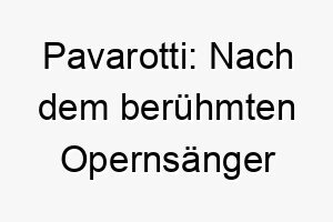 pavarotti nach dem beruehmten opernsaenger luciano pavarotti ein grossartiger name fuer einen hund mit einer starken stimme 2 24703