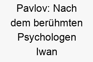 pavlov nach dem beruehmten psychologen iwan pawlow bekannt fuer seine arbeit mit hunden 24459