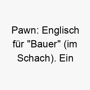 pawn englisch fuer bauer im schach ein strategischer name fuer einen cleveren hund 24790