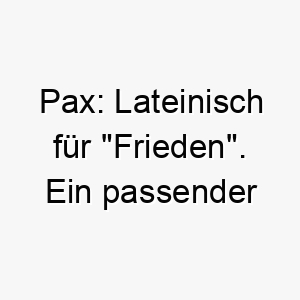 pax lateinisch fuer frieden ein passender name fuer einen sanften friedlichen hund 24328