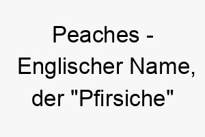 peaches englischer name der pfirsiche bedeutet 7689 1