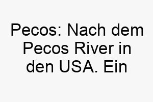 pecos nach dem pecos river in den usa ein geographischer name fuer einen abenteuerlustigen hund 24744