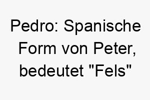 pedro spanische form von peter bedeutet fels oder stein 24302