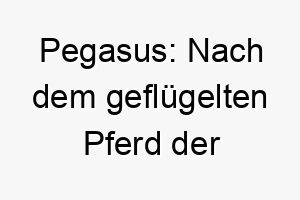 pegasus nach dem gefluegelten pferd der griechischen mythologie ein majestaetischer name fuer einen eleganten hund 25080