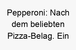 pepperoni nach dem beliebten pizza belag ein wuerziger name fuer einen lebhaften hund 25024