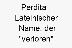 perdita lateinischer name der verloren bedeutet 7720 1