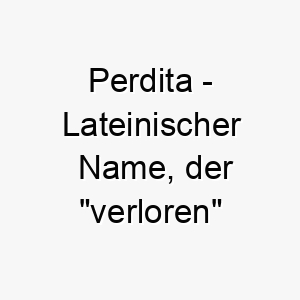 perdita lateinischer name der verloren bedeutet 7720 1