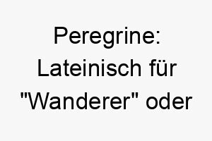 peregrine lateinisch fuer wanderer oder pilger ein passender name fuer einen reiselustigen hund 24476