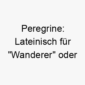 peregrine lateinisch fuer wanderer oder pilger ein passender name fuer einen reiselustigen hund 24476