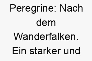 peregrine nach dem wanderfalken ein starker und schneller name fuer einen agilen hund 24778