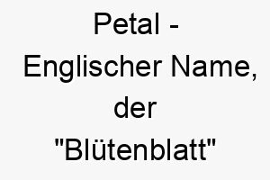 petal englischer name der bluetenblatt bedeutet 7753 1