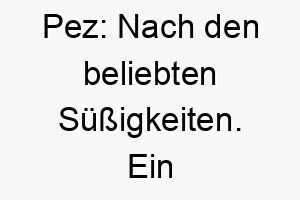 pez nach den beliebten suessigkeiten ein suesser name fuer einen kleinen oder suessen hund 24699