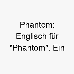 phantom englisch fuer phantom ein geheimnisvoller name fuer einen schwer zu fassenden hund 24791