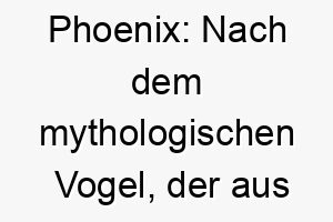 phoenix nach dem mythologischen vogel der aus seiner eigenen asche wiedergeboren wird ein symbolischer name fuer einen hund mit starker widerstandsfaehigkeit 24704