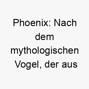 phoenix nach dem mythologischen vogel der aus seiner eigenen asche wiedergeboren wird ein symbolischer name fuer einen hund mit starker widerstandsfaehigkeit 24704