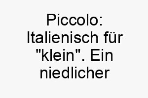 piccolo italienisch fuer klein ein niedlicher name fuer einen kleinen hund 24702