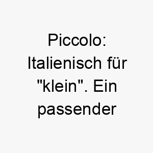 piccolo italienisch fuer klein ein passender name fuer einen kleinen hund 24420