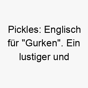 pickles englisch fuer gurken ein lustiger und ungewoehnlicher name fuer einen hund 24722