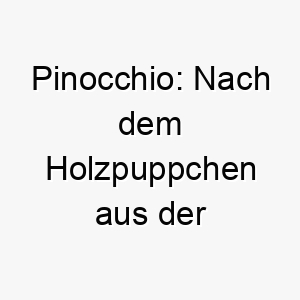 pinocchio nach dem holzpuppchen aus der italienischen literatur ein suesser name fuer einen neugierigen und abenteuerlustigen hund 24428