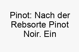 pinot nach der rebsorte pinot noir ein passender name fuer einen eleganten hund 24490