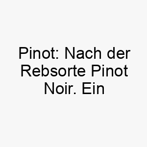 pinot nach der rebsorte pinot noir ein passender name fuer einen eleganten hund 24490