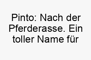 pinto nach der pferderasse ein toller name fuer einen gescheckten oder vielfarbigen hund 24714