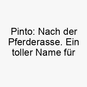 pinto nach der pferderasse ein toller name fuer einen gescheckten oder vielfarbigen hund 24714