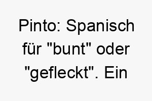 pinto spanisch fuer bunt oder gefleckt ein passender name fuer einen mehrfarbigen hund 24331