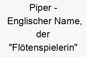 piper englischer name der floetenspielerin bedeutet 7695 1