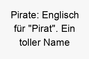 pirate englisch fuer pirat ein toller name fuer einen abenteuerlustigen hund 24710