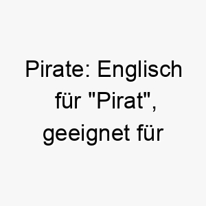 pirate englisch fuer pirat geeignet fuer einen abenteuerlichen oder frechen hund 24314