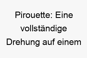 pirouette eine vollstaendige drehung auf einem fuss oft im ballett ein passender name fuer einen agilen hund 24748