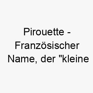 pirouette franzoesischer name der kleine drehung bedeutet 7780