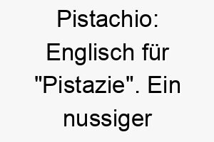 pistachio englisch fuer pistazie ein nussiger und suesser name fuer einen hund 24777