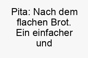 pita nach dem flachen brot ein einfacher und suesser name fuer einen hund 24755