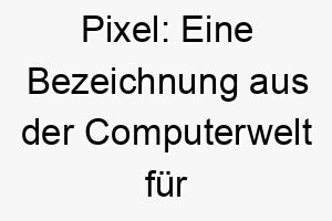 pixel eine bezeichnung aus der computerwelt fuer die kleinsten einheiten eines digitalen bildes passend fuer einen kleinen hund 2 24485