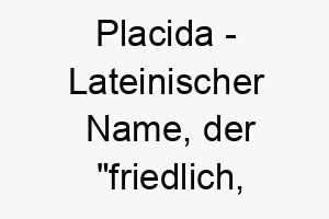 placida lateinischer name der friedlich sanft bedeutet 7837