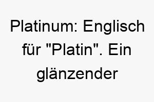 platinum englisch fuer platin ein glaenzender name fuer einen aussergewoehnlichen hund 24466