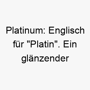 platinum englisch fuer platin ein glaenzender name fuer einen aussergewoehnlichen hund 24466