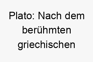 plato nach dem beruehmten griechischen philosophen ein tiefgruendiger name fuer einen weisen hund 2 24711