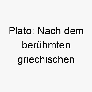 plato nach dem beruehmten griechischen philosophen ein tiefgruendiger name fuer einen weisen hund 2 24711