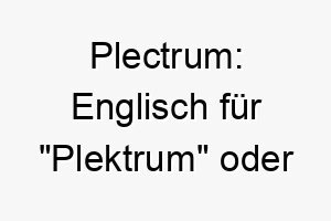 plectrum englisch fuer plektrum oder gitarrenpick ein musikalischer name fuer einen hund der gerne spielt oder zupft 25081