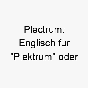 plectrum englisch fuer plektrum oder gitarrenpick ein musikalischer name fuer einen hund der gerne spielt oder zupft 25081