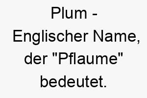 plum englischer name der pflaume bedeutet 7734