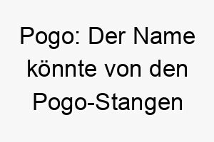 pogo der name koennte von den pogo stangen kommen und waere eine gute wahl fuer einen energischen hund 24306