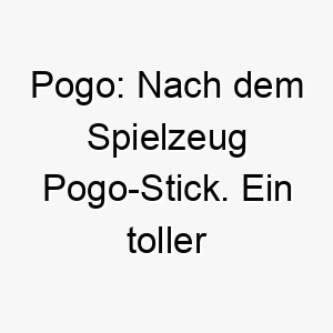 pogo nach dem spielzeug pogo stick ein toller name fuer einen aktiven und springfreudigen hund 24717