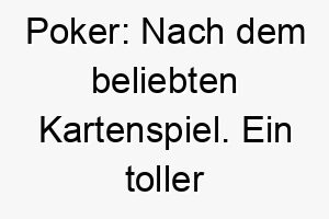 poker nach dem beliebten kartenspiel ein toller name fuer einen glueck bringenden hund 24486