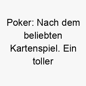 poker nach dem beliebten kartenspiel ein toller name fuer einen glueck bringenden hund 24486